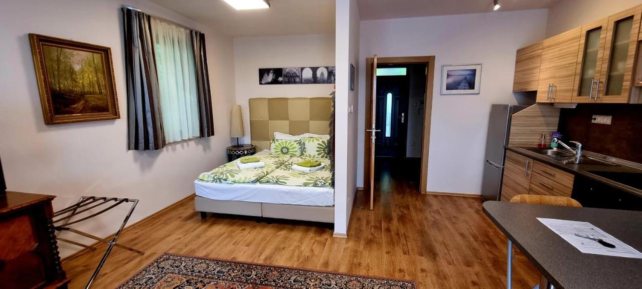 Sofia Apartment Kazmer Budapest Bagian luar foto